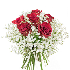 Captured against a pristine white backdrop, this sophisticated floral arrangement is artfully composed with six velvety crimson roses-a vision of passion and enduring affection. Each rose, just on the edge of full bloom, unveils layer upon layer of delicately spiraled petals, their sumptuous colour set alight by surrounding clouds of pure white baby's breath. The gypsophila's countless tiny blossoms swirl softly between the roses, imparting a light, almost weightless texture, much like the gentle air along the peaceful avenues of Hillingdon Village. Crisp, verdant stems are visible at the base, freshly gathered and tied, signalling professional care and attention to detail. The bouquet's rounded form and striking colour contrast evoke a classic romantic gesture, suitable for special occasions or spontaneous moments of gratitude. Its scent carries a subtle sweetness, reminiscent of rose gardens in spring. Prepared by your neighbourhood florists, this bouquet from Hillingdon is more than a floral gift-it's a celebration of local artistry and heartfelt emotion, designed to convey love, admiration, and joy with understated elegance. Whether delivered to a cozy home in Ickenham or a business in Yiewsley, this arrangement leaves a lasting impression of beauty and sincerity.